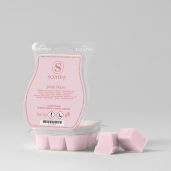 Pink Haze Scentsy Bar