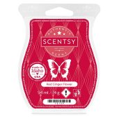 Red Ginger Flower Scentsy Bar