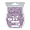 Shimmer Scentsy Bar