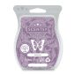 Shimmer Scentsy Wax Bar