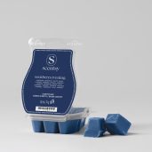Southern Evening Scentsy Bar