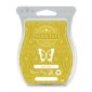 Spiced Pear Scentsy Bar