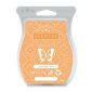 Sunkissed Citrus Scentsy Bar