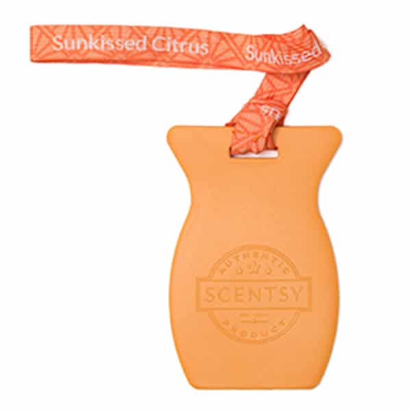 Sunkissed Citrus Scentsy Car Bar