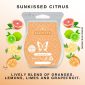 Sunkissed Citrus Scentsy Wax Bar