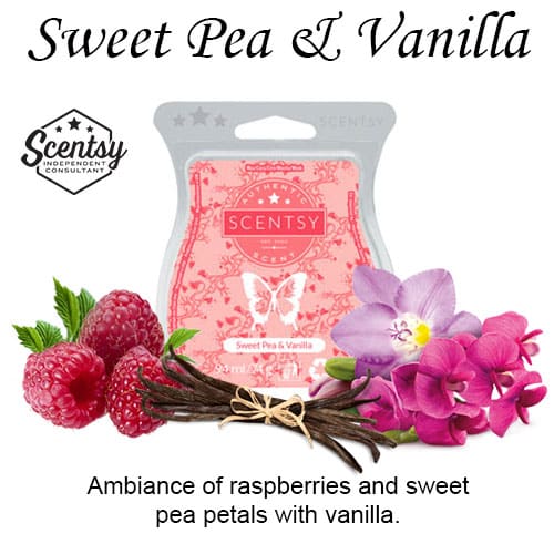 Sweet Pea & Vanilla Scentsy Bar The Candle Boutique Scentsy UK