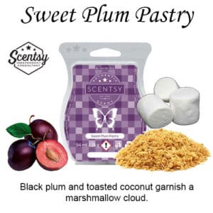 Sweet Plum Pastry Scentsy Wax Melt