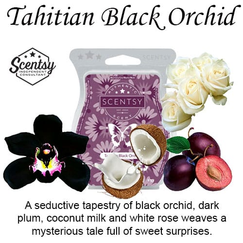 Tahitian Black Orchid Scentsy Wax Melt