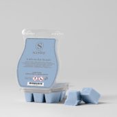 Walk On The Beach Scentsy Bar
