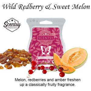 Wild Redberry and Sweet Melon Scentsy Wax Melt