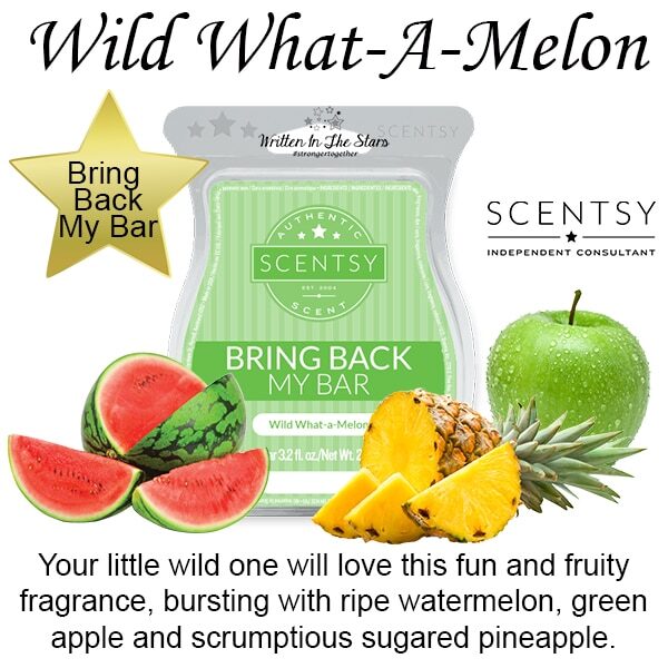 Wild What-a-Melon Scentsy Bar