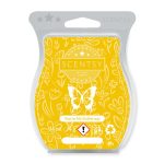 You're My Buttercup Scentsy Bar