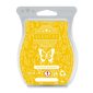 You're My Buttercup Scentsy Bar