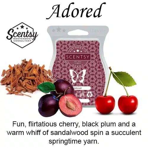 Adored Scentsy Wax Melt