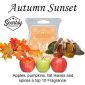 Autumn Sunset Scentsy Wax Melt