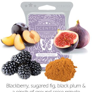 blackberry meringue scentsy wax bar blackberry meringue scentsy wax melt