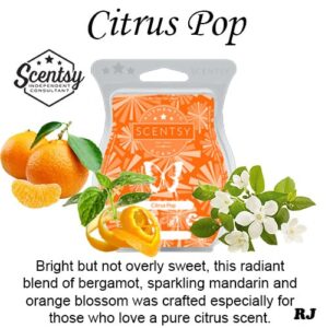 citrus pop scentsy wax melt