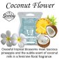 Coconut Flower Scentsy Wax Melt