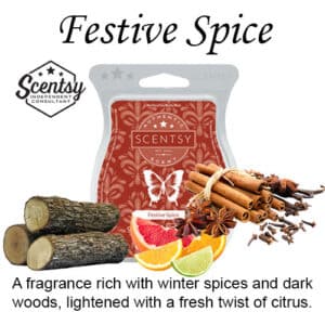 Festive Spice Scentsy Wax Melt