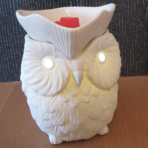 Whoot Owl Scentsy Warmer The Candle Boutique Uk Consultant