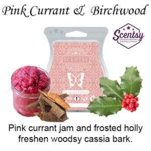 Pink Currant and Birchwood Scentsy Wax Melt
