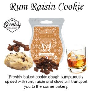 Rum Raisin Cookie Scentsy Wax Melt