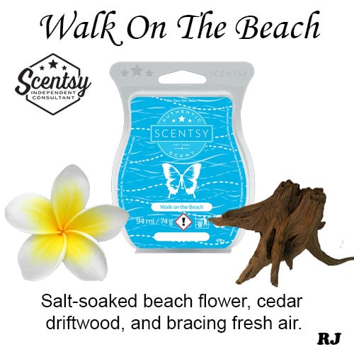 wak on the beach scentsy wax melt