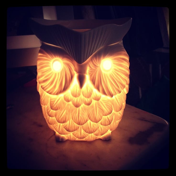 Scentsy Whoot Warmer
