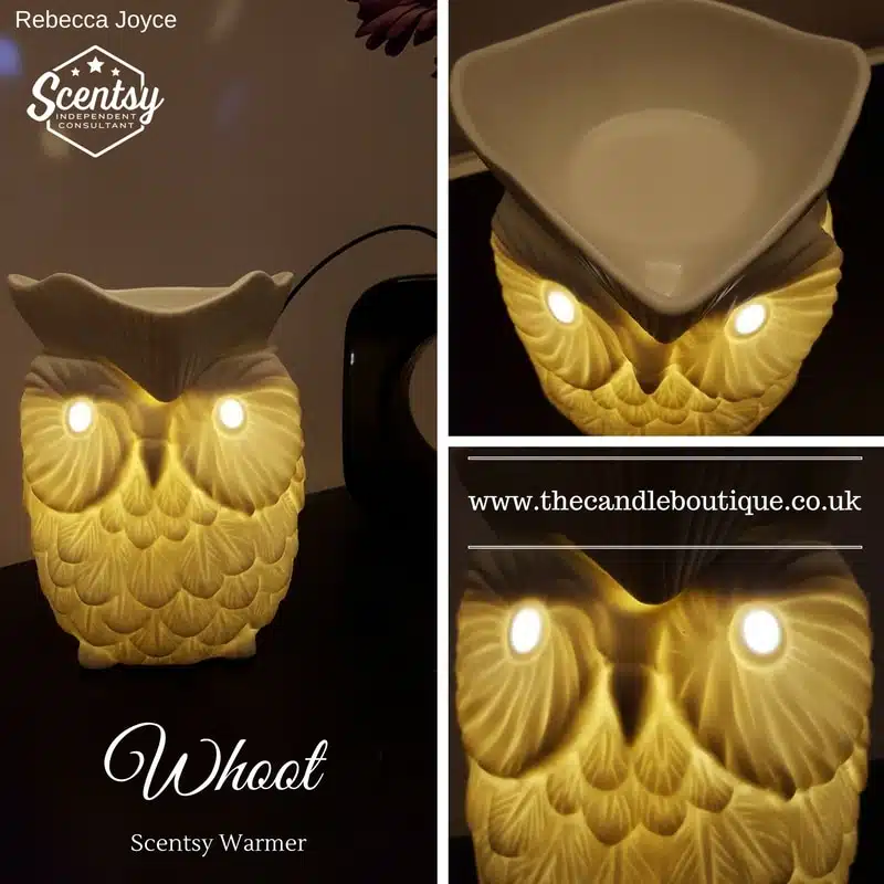 Whoot Owl Scentsy Electric Wax Warmer