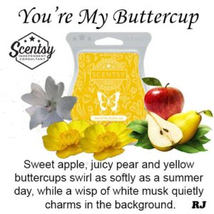 youre my buttercup scentsy wax melt