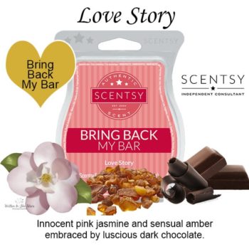 Love Story Scentsy Bar Love Story Scentsy Bar