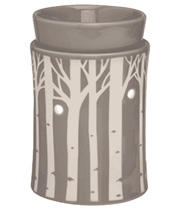 what-is-scentsy What is a Scentsy warmer?