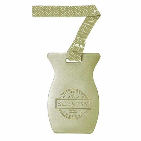 Amazon Rain Scentsy Car Bar