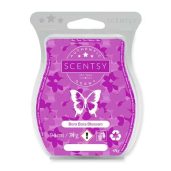 Bora Bora Blossom Scentsy UK Wax Bar