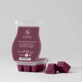 Bora Bora Blossom Scentsy Wax Bar Melt