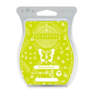 Bright and Cheery Scentsy Bar