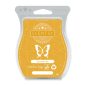 Coconut Flan Scentsy Bar