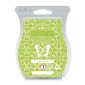 Custard Apple Scentsy Bar