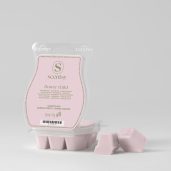Flower Child Scentsy Bar