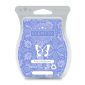 Forest Wildflowers Scentsy Bar