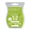 Kiwifruit Scentsy Bar