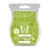 Kiwifruit Scentsy Wax Bar