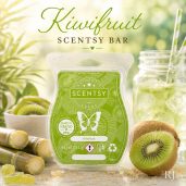 Kiwifruit Scentsy Wax Bar Melt