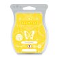 Lemon Sorbet Scentsy Bar