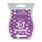 Passion Fruit Colada Scentsy Bar