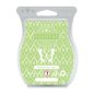 Pistachio Ice Cream Scentsy Bar