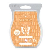 Summer Sunshine Scentsy Bar