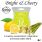 bright and cheery scentsy wax melt