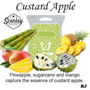 custard apple scentsy wax melt