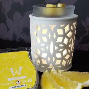 Darling white Scentsy warmer with Lemon sorbet Scentsy bar.